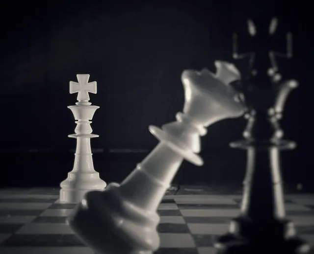 Playing Chess